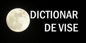 DICTIONAR DE VISE