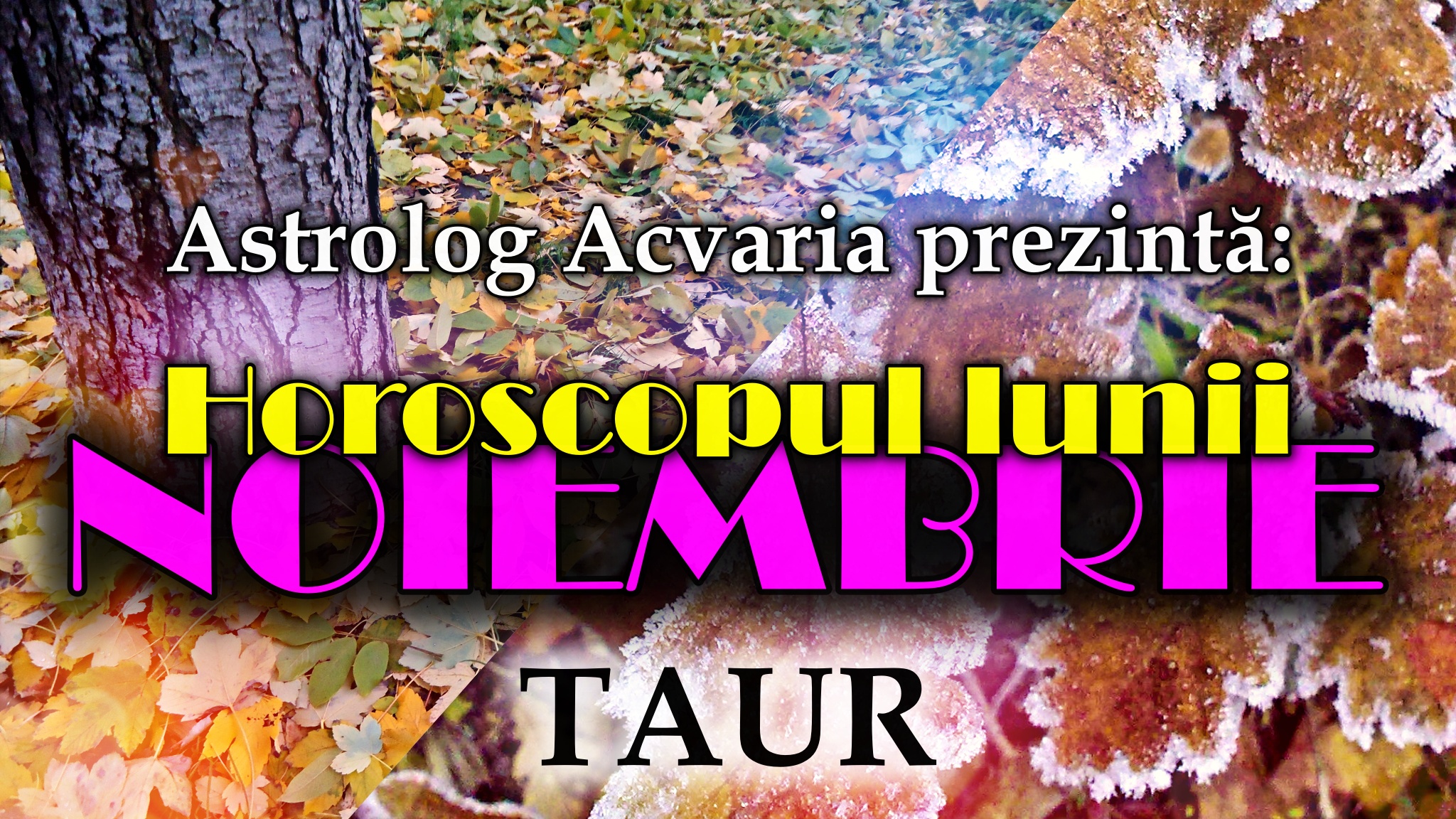 Horoscopul lunii NOIEMBRIE * Zodia TAURULUI